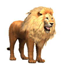 Gif animé lion rugit